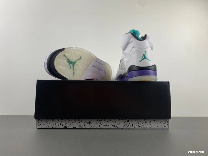 Rep LUCY (2013) Grape 5 Jordan Retro 136027-108 Air 0629